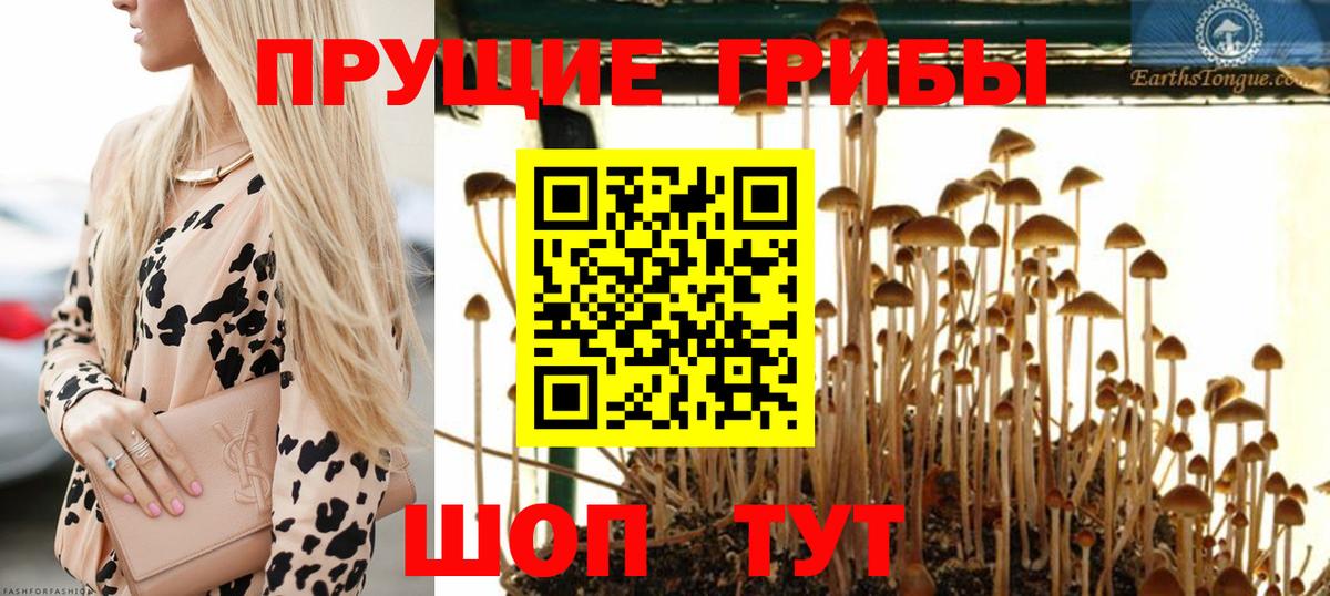 Галлюциногенные грибы ЛСД Ухта